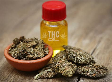 Can Thc Oil Machine Improve Performance?