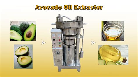 How to Choose the Right Avocado Oil Extraction Machine?