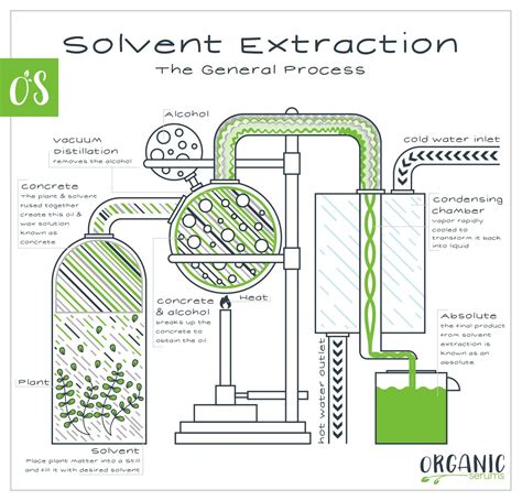 How to Choose the Right Machine for Extracting Oil?