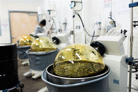 How to Choose the Right Thc Oil Extraction Machine?