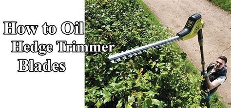 What Is the Best Light Machine Oil for Hedge Trimmer for Your Needs?