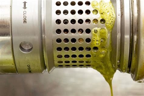 What Is the Best Oil Pressing Machine for Home for Your Needs?
