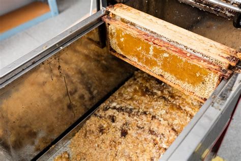Why Experts Recommend Honey Oil Machine for Maintenance